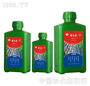 ጣ(zhun)ðҺķ-Ħ-(qing)о(gu)H