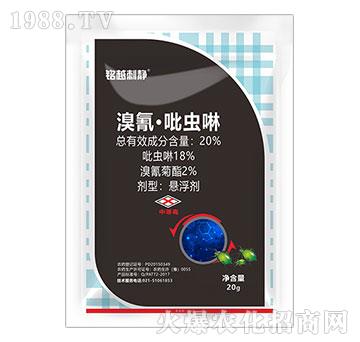 20%衤x(chng)-Խo