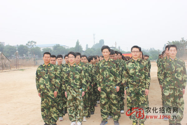 組建團隊