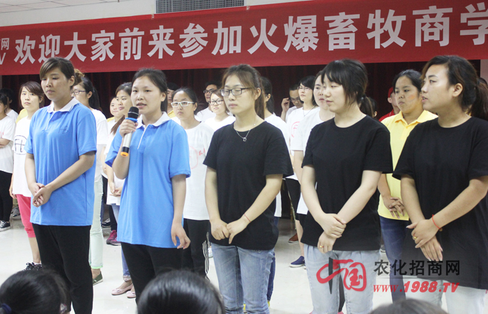 團隊凝聚力潛能訓練