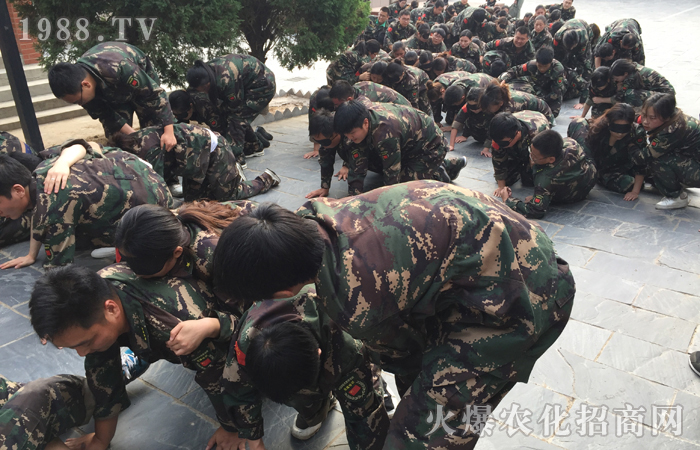 努力和遺憾,哪個(gè)更痛苦?