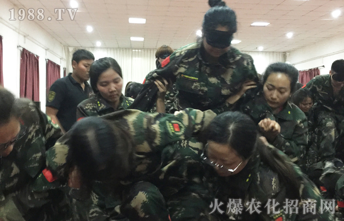 努力和遺憾,哪個(gè)更痛苦?