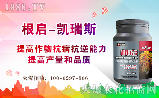 【凱瑞斯國(guó)際】祝大家在新的一年里闔家歡樂(lè),幸福美滿(mǎn)!