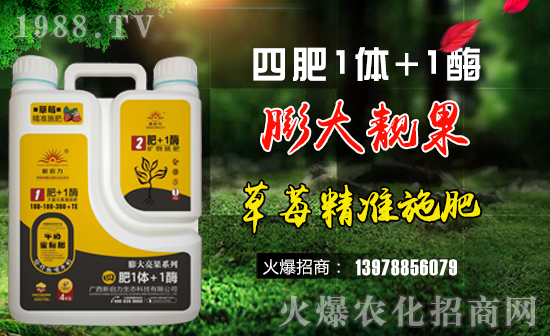 【新啟力】祝福一路相伴的朋友們?cè)谛碌囊荒昀镄腋C罎M,闔家歡樂!