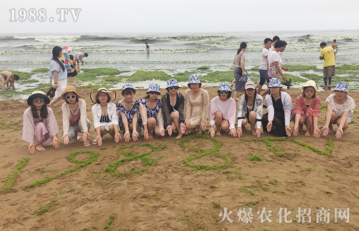 揚(yáng)帆起航,暢游青島!