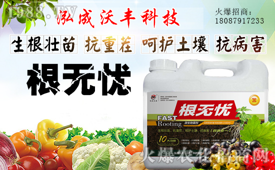 【泓成沃豐】祝全國經銷商身體健康,豬年吉祥!