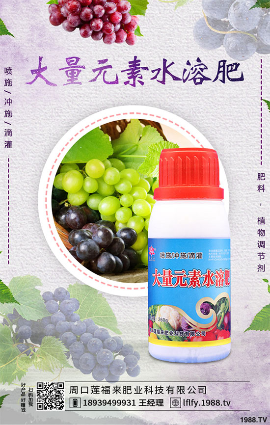 ��С�����N����粻�R����ô���£�С�����粻���A(y��)����ʩ��