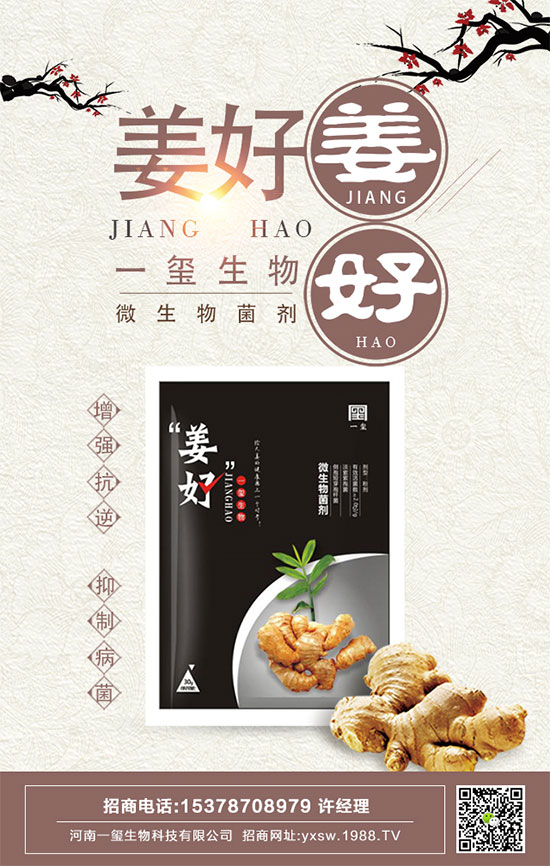 豆角的四個(gè)生育期有哪些特點(diǎn)?如何長期保存豆角?