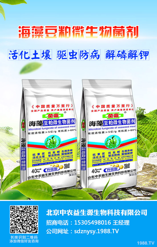 2019年11月21日最新磷酸一銨價(jià)格行情后期走勢預(yù)測!