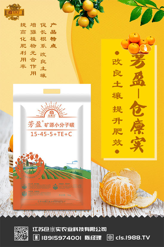 丯ʲôΣ丯ôΣ