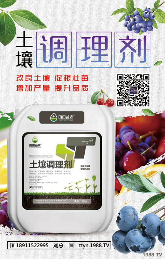 長(zhǎng)春花冬季怎么養(yǎng)?長(zhǎng)春花冬季養(yǎng)殖方法