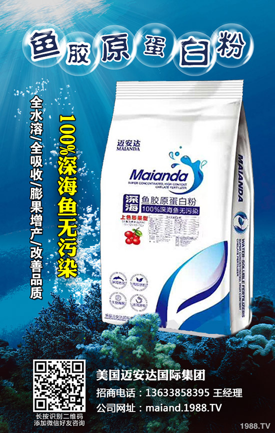 干辣椒價(jià)格多少錢一斤?2020年干辣椒行情如何?