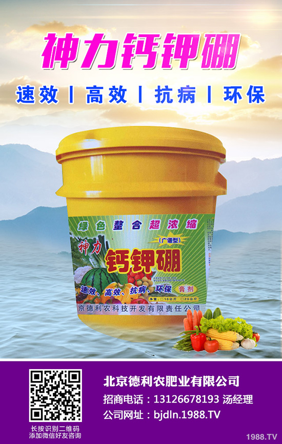 ���¹ϷNֲǰ����Σ����¹ϷNֲҪ�c��