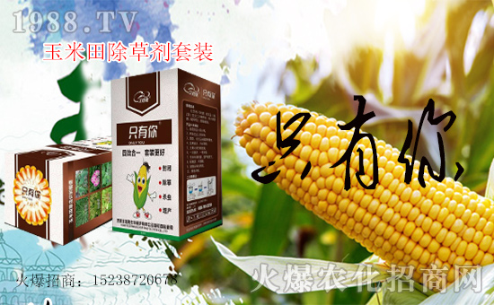 1988.TVϲӭﱣo(h)_(ki)W(wng)j(lu)̣