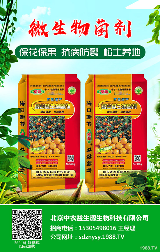     ����һ�@���β�ُ�����嵭��2019-12-12����һ�@�r(ji��)�����(b��o)��