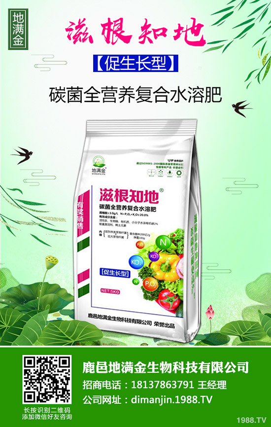 2020年種植哪些洋蔥品種賺錢(qián)?洋蔥種植時(shí)間及育苗技術(shù)!