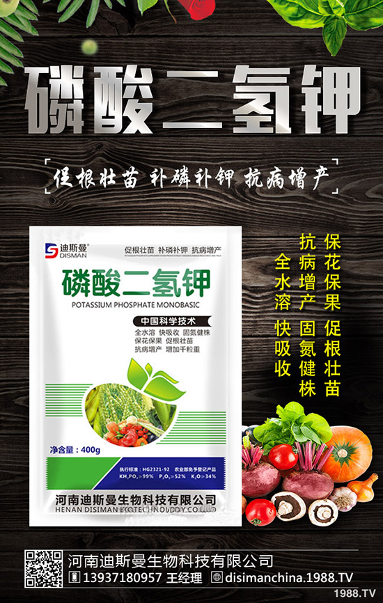 ������ô�Nֲ�������Nֲ�������ճ�����������