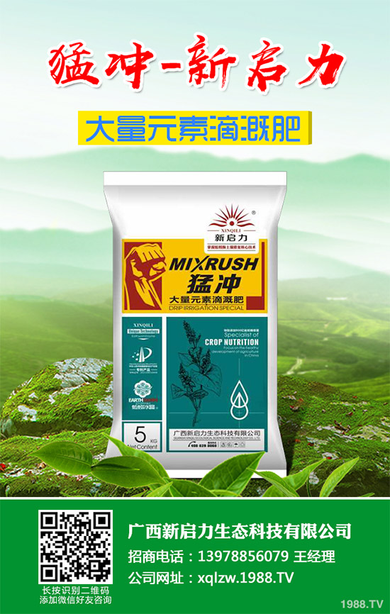 柚子有許多品種,各有各的風(fēng)味。但眼尖的人會發(fā)現(xiàn),市面上賣的紅肉蜜柚比普通蜜柚要貴上許多。同樣是柚子,外表看起來也差不多,紅肉蜜柚憑什么比白肉柚子貴?