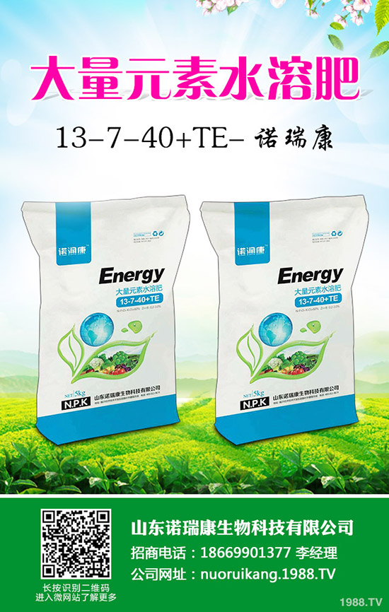     �R�����P(gu��n)��2020�������Ј���������׃�����������������