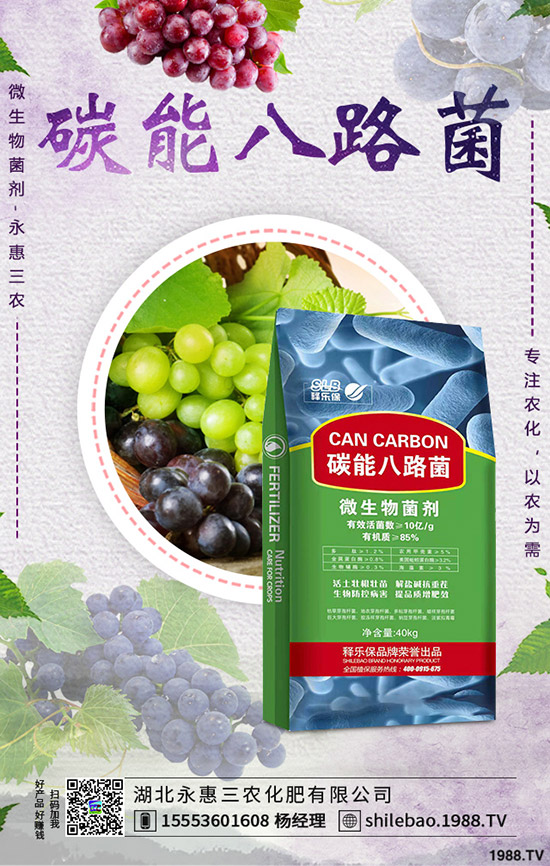     2020��1��1���µ�һ�����@�r����������������һ�@���S������r��