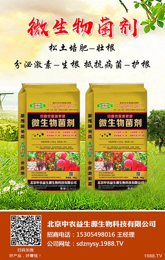     2020��1��1��⛷ʃr����������_��⛷������߄�������