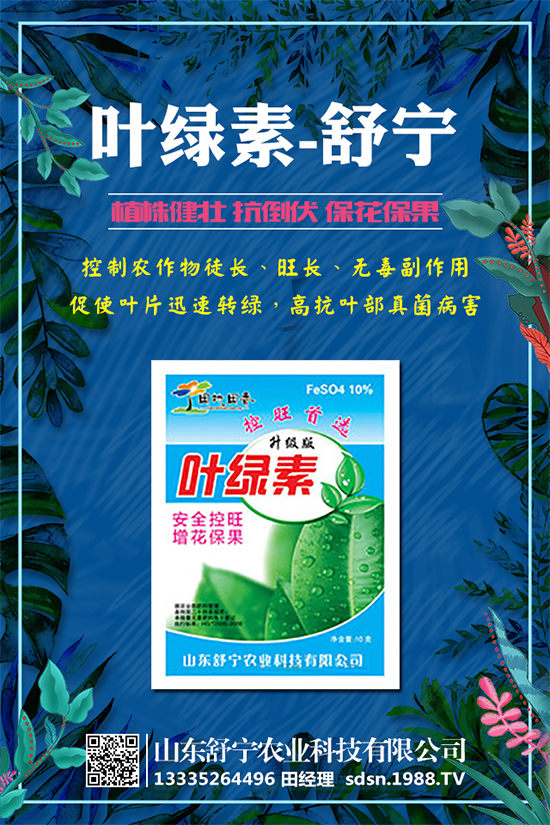 小南瓜對環(huán)境條件有什么要求?小南瓜高產(chǎn)種植要點(diǎn)!