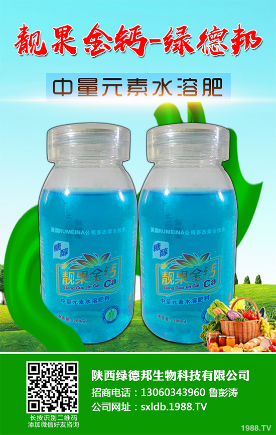 盆栽蔬菜有哪些品種？盆栽蔬菜的種植條件和注意事項