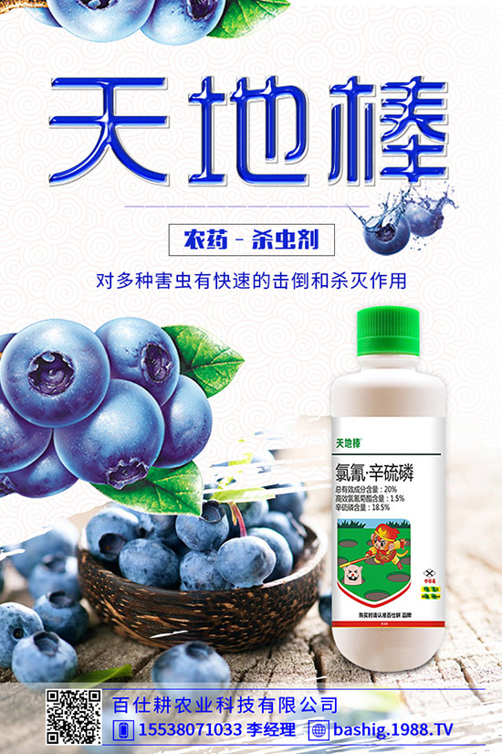 空心菜用什么肥好，空心菜的施肥技巧有哪些？