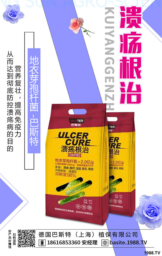 潰瘍病一定是細(xì)菌性病害?大錯(cuò)特錯(cuò)!深度解析潰瘍病,教你可防可治潰瘍。