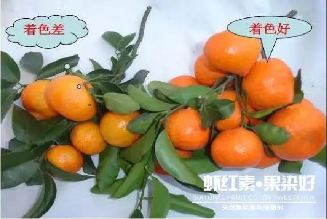 ��Ȼ����(sh��)��ɫ�����������r�t�ء��Ⱦ����