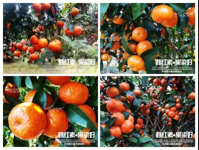 ��Ȼ����(sh��)��ɫ�����������r�t�ء��Ⱦ����