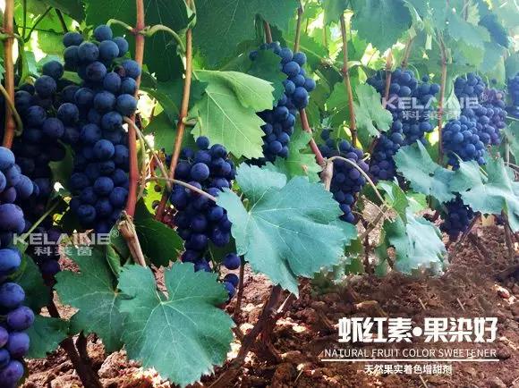 ��Ȼ����(sh��)��ɫ�����������r�t�ء��Ⱦ����