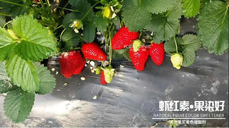 ��Ȼ����(sh��)��ɫ�����������r�t�ء��Ⱦ�ã�