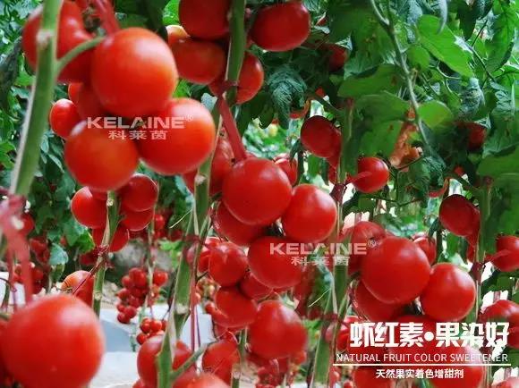 ��Ȼ����(sh��)��ɫ�����������r�t�ء��Ⱦ����