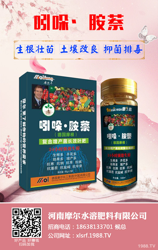 蓮藕怎樣才能高產(chǎn),蓮藕的高產(chǎn)管理技術