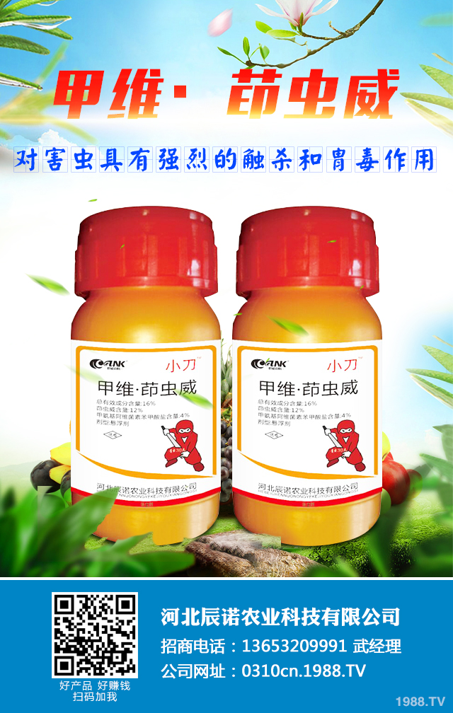 高粱長蝽怎么治?高粱長蝽防治技巧