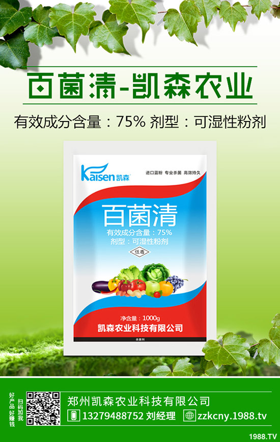 板栗樹種植后怎么管理?板栗種植的管理技術!