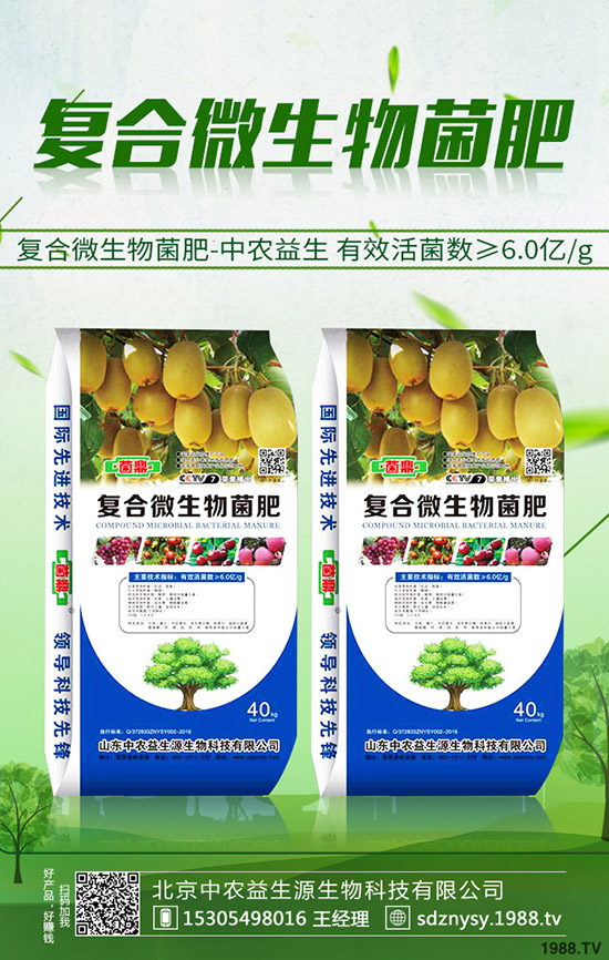 2019年冬小麥如何施肥?各地區(qū)冬小麥施肥方案及施肥技術!