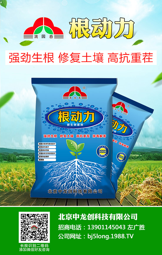 ������̦���l(f��)��ԭ������Щ��������̦�����δ�ʩ��