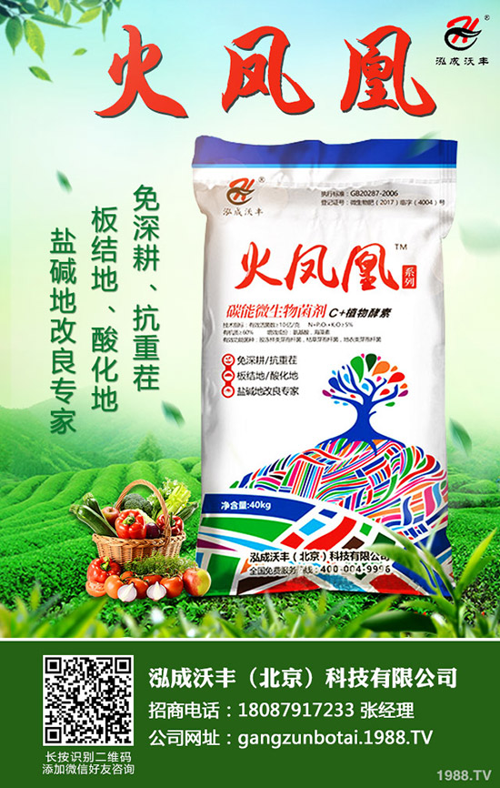     ���Շ�(gu��)��(n��i)һ�@�Ј�(ch��ng)�r(ji��)�����������Ӎ2019��9��7��