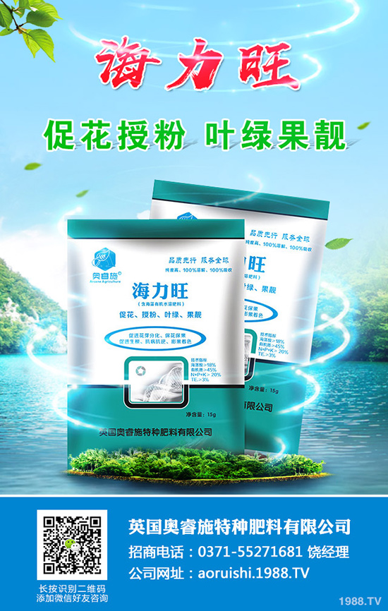 現(xiàn)在種植沙糖桔還賺錢嗎?沙糖桔種植技術(shù)大全