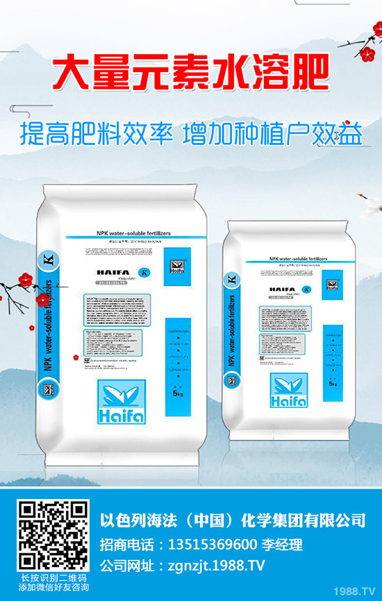     2020����(ji��)���g��⛷�����������1��31�ս���⛷ʃr�����