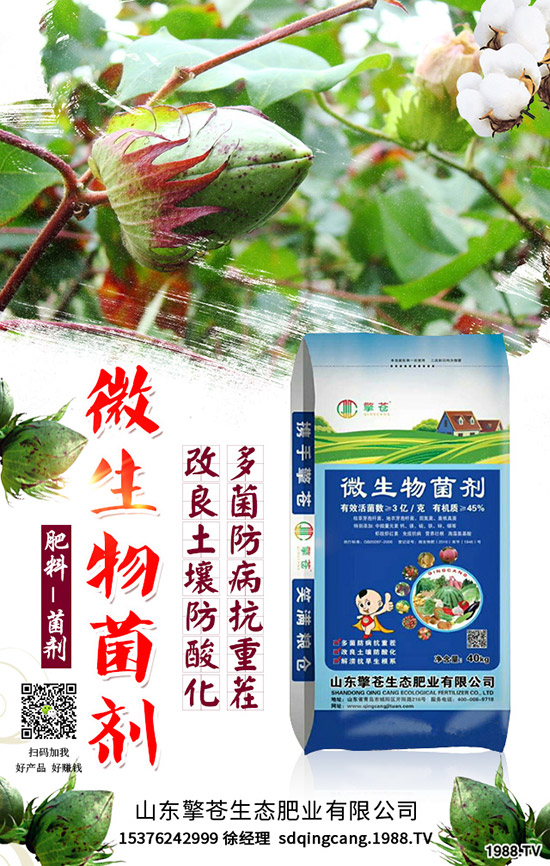 春節(jié)來臨!2020年1月尿素能否挺價?尿素行情走勢預測!