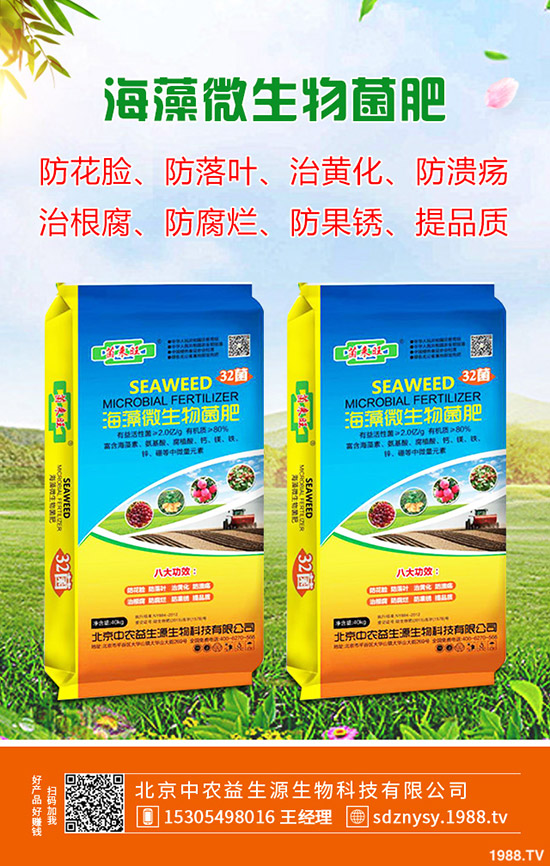     2020春季種植馬鈴薯技術(shù)要點(diǎn)！如何催芽？注意事項(xiàng)有哪些？