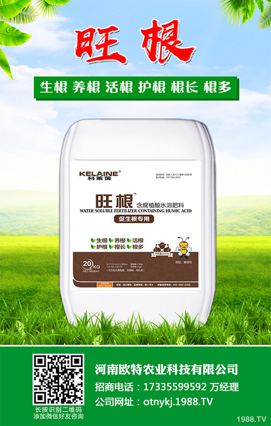 �t������Щ���湦Ч���t�ٵĹ�Ч���ü�������Ⱥ