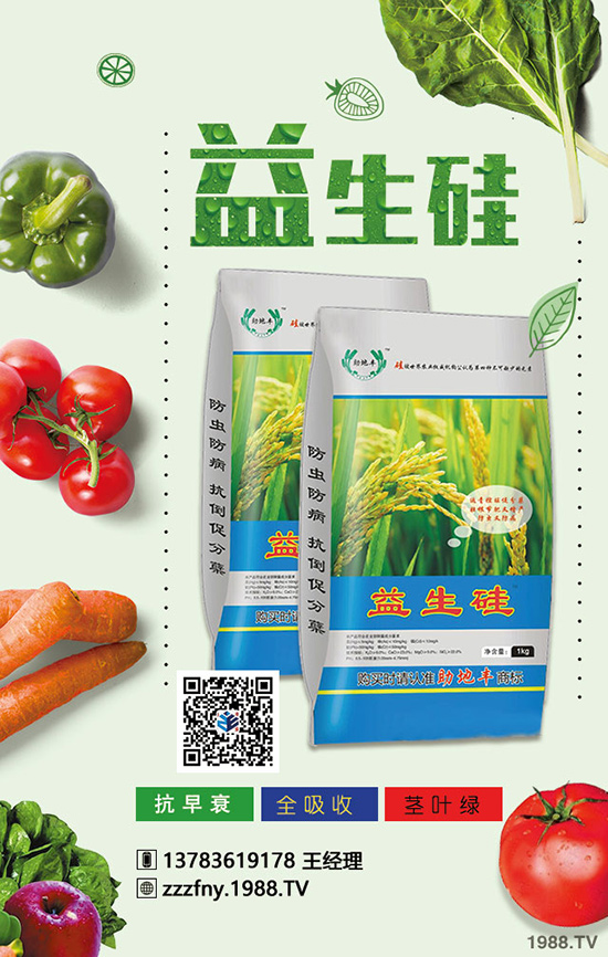 菜椒想高產(chǎn),應在菜椒幼苗期與掛果期科學施肥!