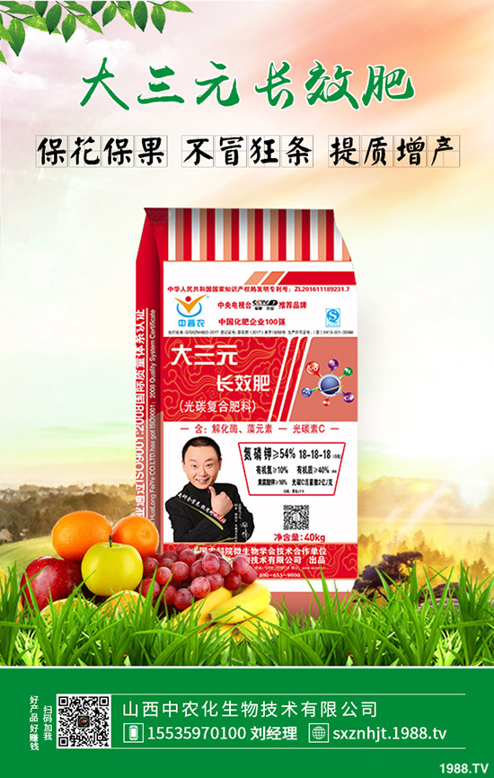     ⛷������»���2020��1��7�ս�������⛷ʃr�����