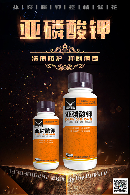 2020種黑番茄賺錢嗎?黑番茄的種植方法有哪些?