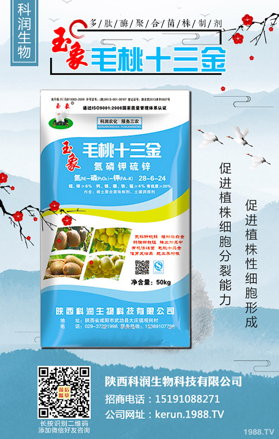     ���裺�����B�m(x��)�q�r(ji��)�����L(f��ng)�U(xi��n)�����2020-3-13��������(b��o)�r(ji��)��