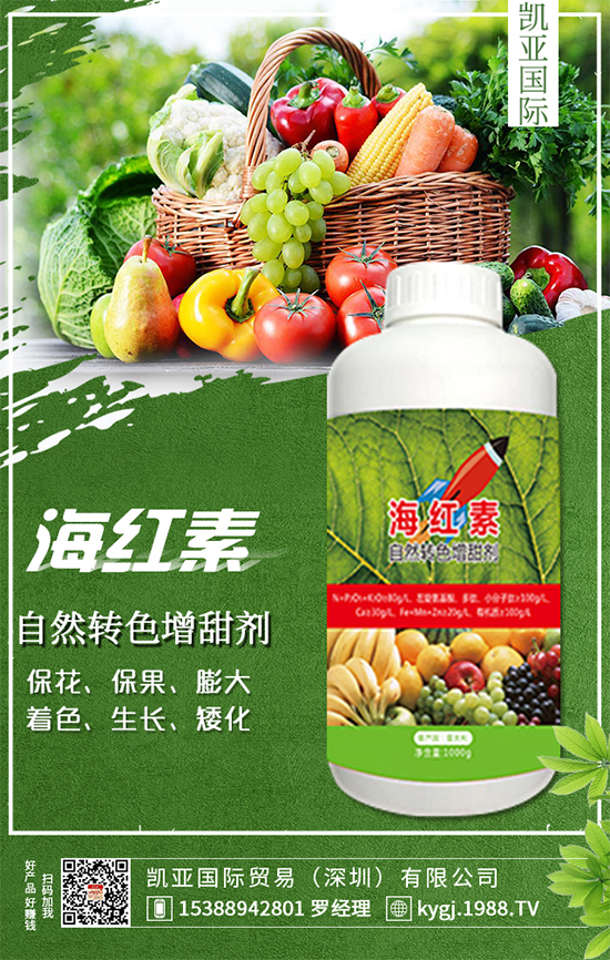 �����}��ʲô�r�g�Nֲ�������}���Nֲ������